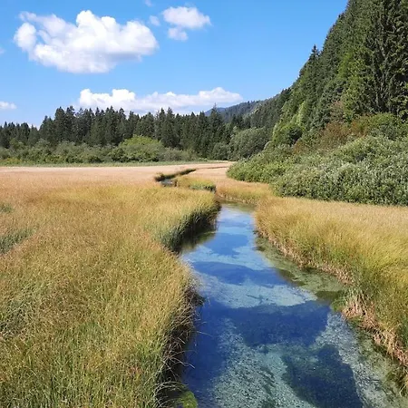 House Godec - Ratece Planica Apartment Kranjska Gora