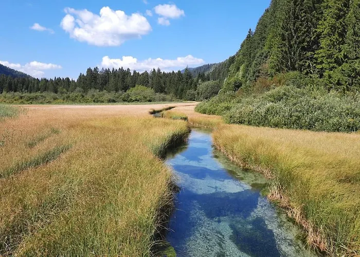 House Godec - Ratece Planica 公寓 克拉尼斯卡戈拉