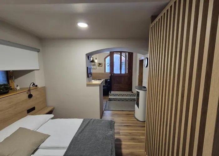 公寓 House Godec - Ratece Planica 克拉尼斯卡戈拉